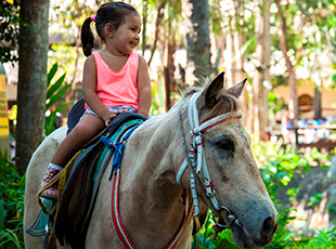 Half-Day Bali Zoo Explorer with Lunch and Transfers