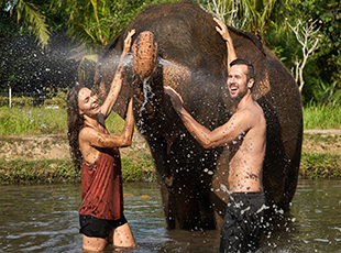 Breakfast With Orangutan & Elephant Mud Fun (With Transfers)